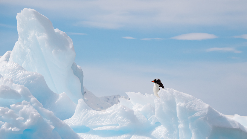 HX | Iconic Antarctica: The Explorers Route